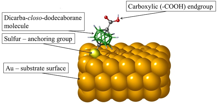 Functionalized para-carborane molecule on a gold surface