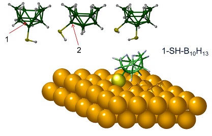 Molecules of decaborane-thiol derivatives